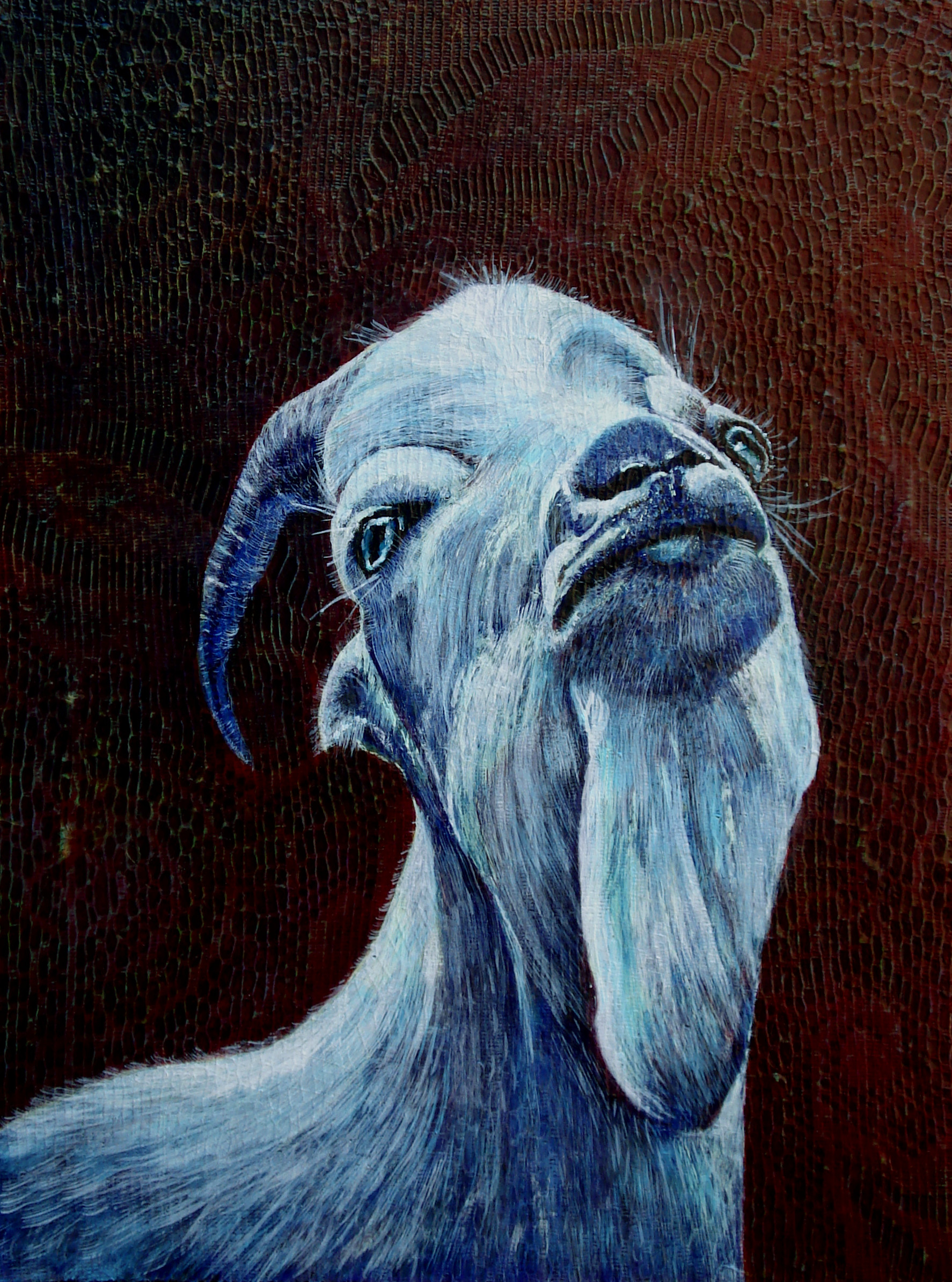 The proud goat