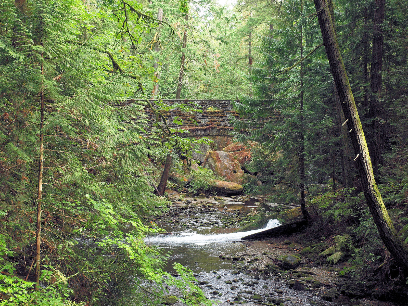 A little known jewel in Whatcom Falls Park